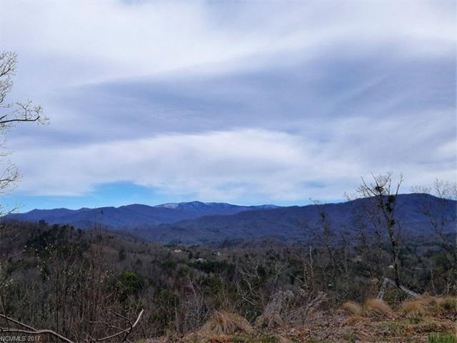 Lot #18 Fiddlers Mountain Road - Photo 1