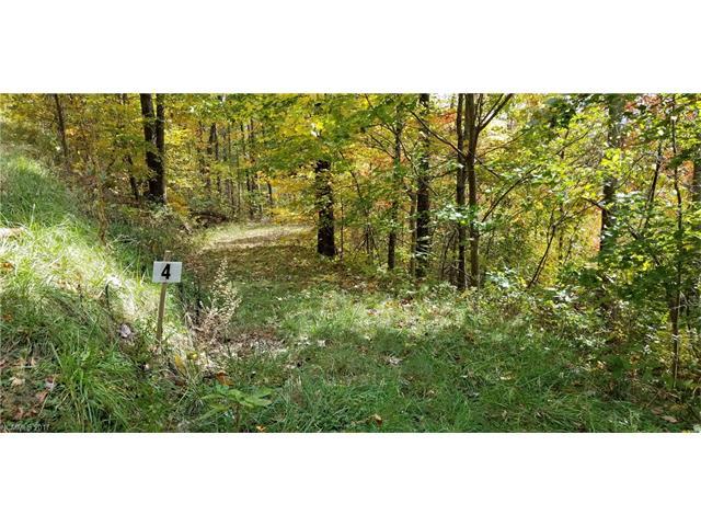Lot 4 Big Boulder Ridge Road - Photo 1
