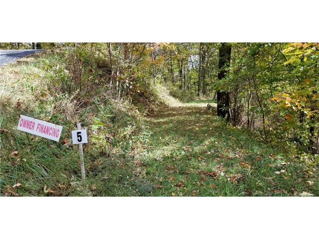 Lot 5 Big Boulder Ridge Road - Photo 1
