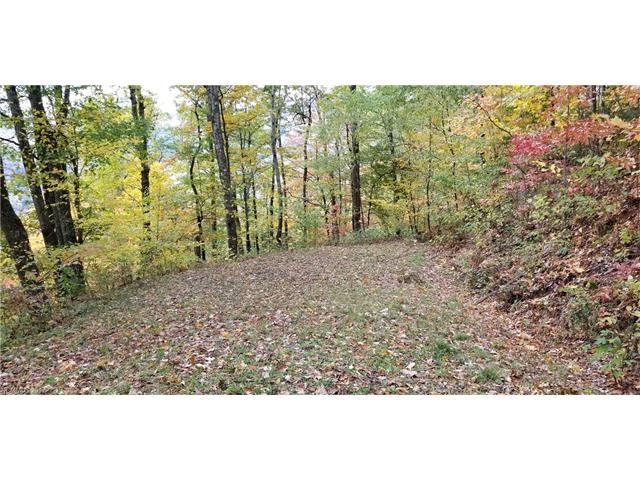 Lot 11 Big Boulder Ridge Road - Photo 1