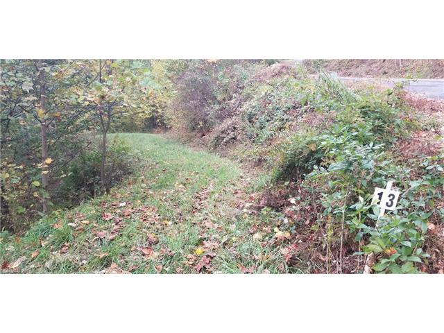 Lot 13 Big Boulder Ridge Road - Photo 1