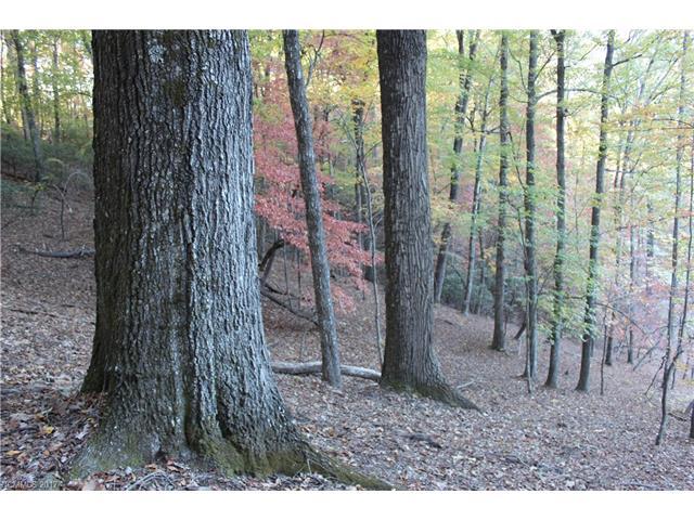 9999 Shining Rock Path - Photo 1