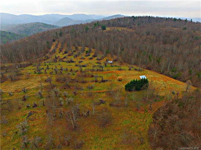 41.54 acres Low Gap Road - Photo 1
