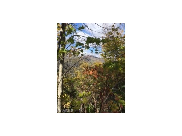 54 Round Top Mountain Road - Photo 1