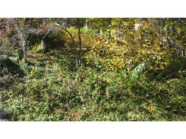 Lot Lakeshore Drive - Photo 1