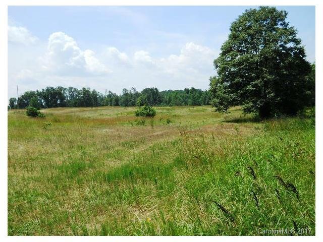 170 Acres Charlotte Highway - Photo 1