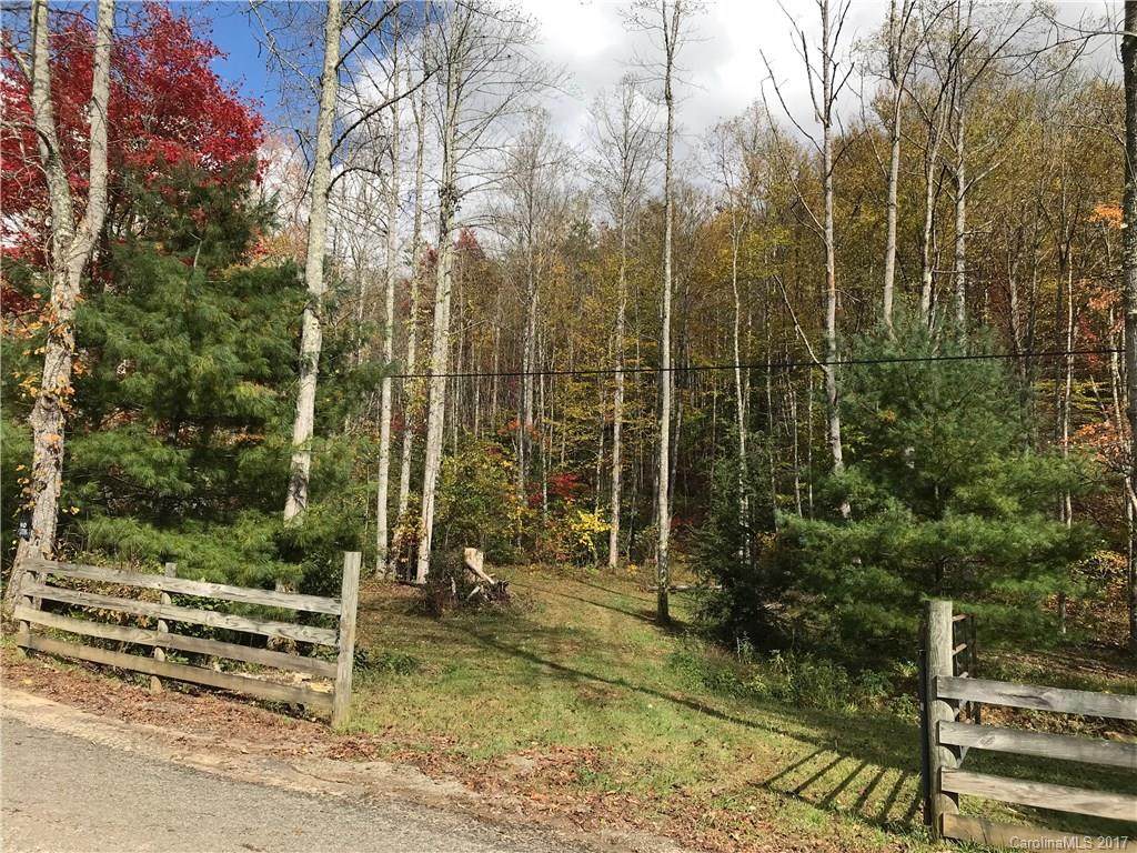 TBD Long Branch Road - Photo 1