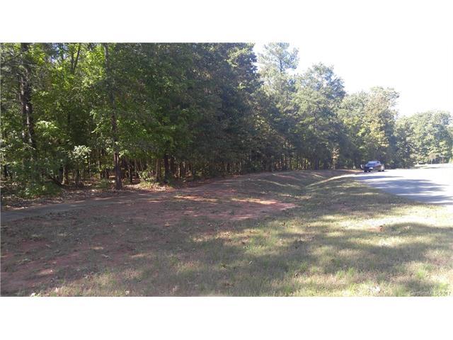 14515 Roe Buck Meadow Lane - Photo 1