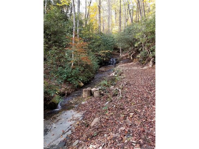 Lot 10 Eastatoe Gap Road - Photo 1
