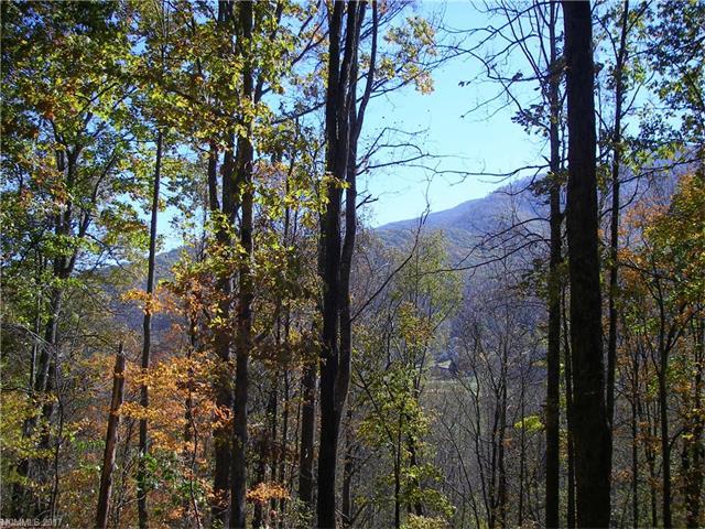 31 Fern Trail - Photo 1