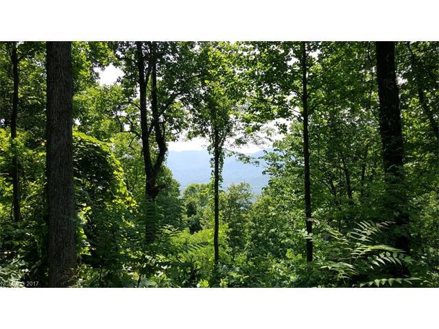 Lot T-18 1671 Creston Drive - Photo 1