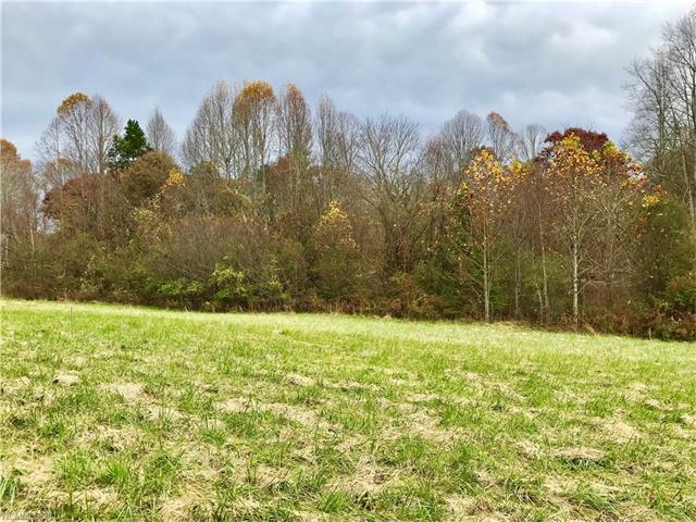 574 Skytop Farm Lane - Photo 1
