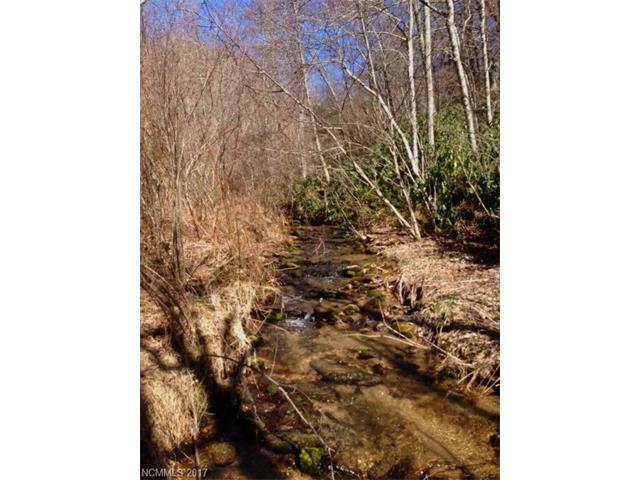 Lot 1 Upper Rock Creek Road - Photo 1