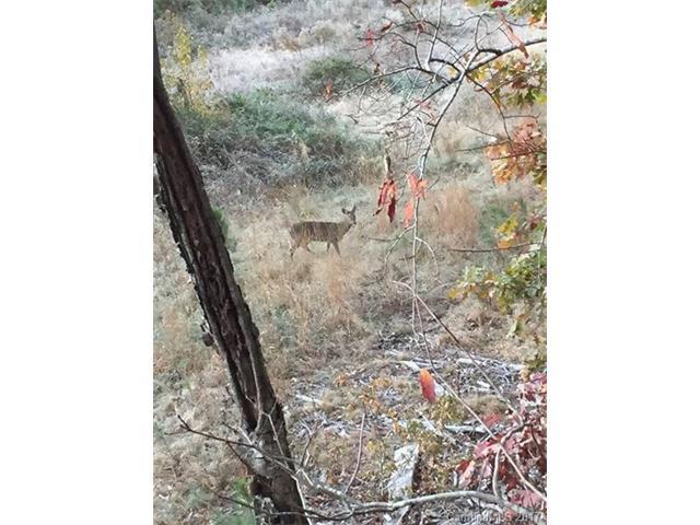 28.47 acres Onvil Road - Photo 1