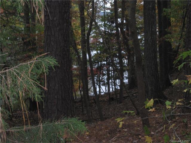 0 Springwood Drive - Photo 1