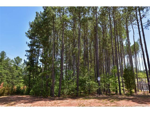 105 Trent Pines Drive - Photo 1