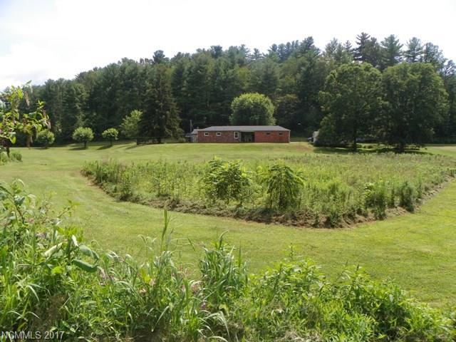 30 Old Mars Hill Highway - Photo 1