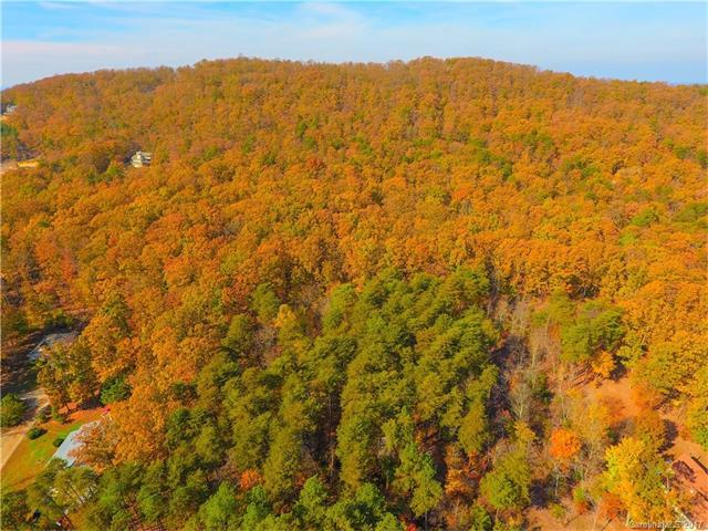 3993 Mount Beulah Road - Photo 1
