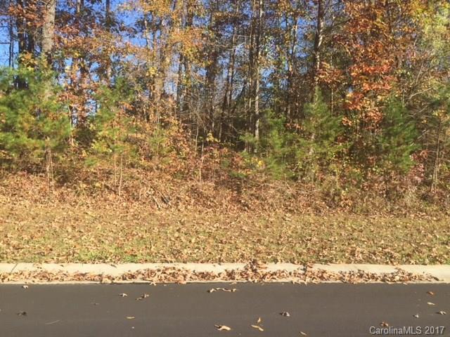 6351 Fox Tail Lane - Photo 1