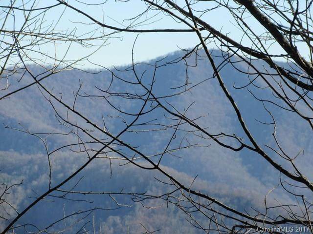 000 Mule Trail Drive - Photo 1