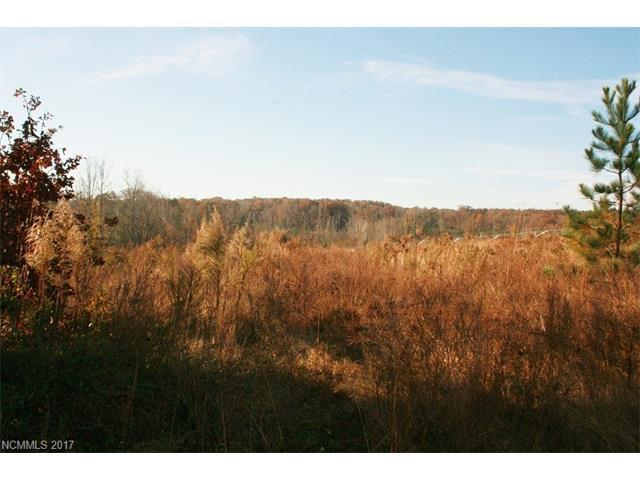 Lot 4 Piney Mountain Church Road - Photo 1