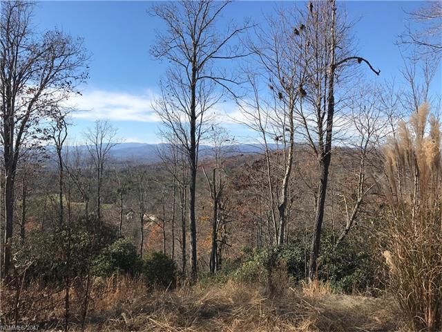 215 Crossvine Trail - Photo 1