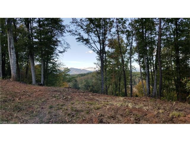 LOT 11 Cross Creek Trail - Photo 1