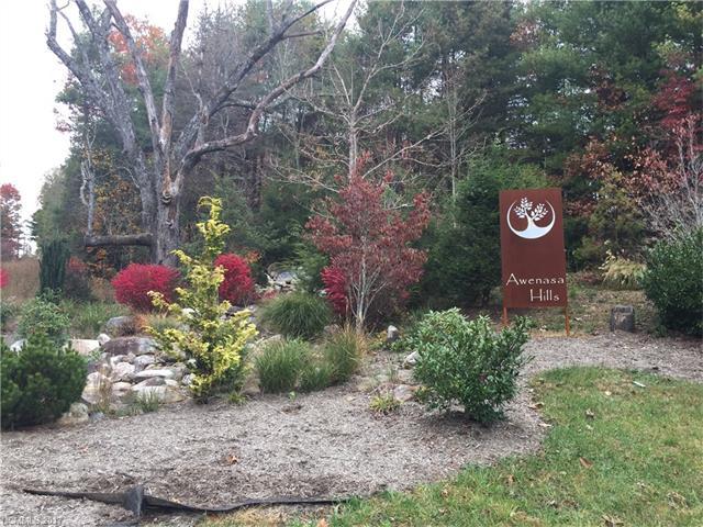 Lot 30 Trellem Trail - Photo 1