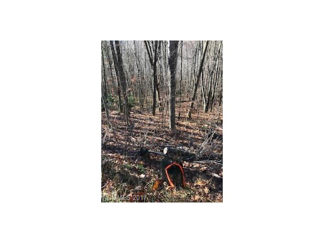 000 Ivy Way - Photo 1
