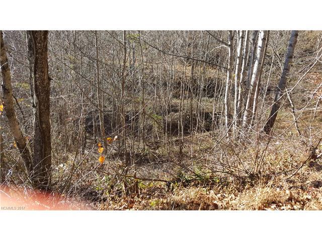TBD Hwy 80N Highway - Photo 1