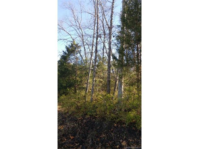 11150 Jim Sossoman Road - Photo 1