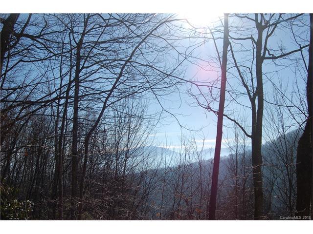 Lot 298 Winding Creek Road - Photo 1