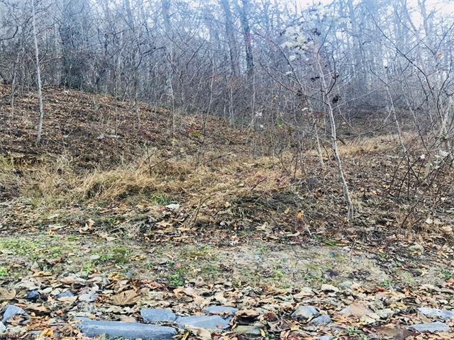 25 Soapstone Creek Drive - Photo 1