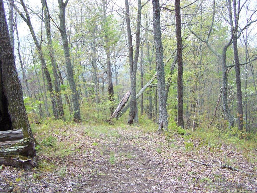 Lot 90 Rising Sun Road - Photo 1