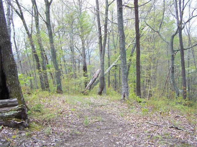 Lot 90 Rising Sun Road - Photo 1