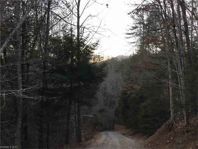 00 Crooked Creek Lane - Photo 1
