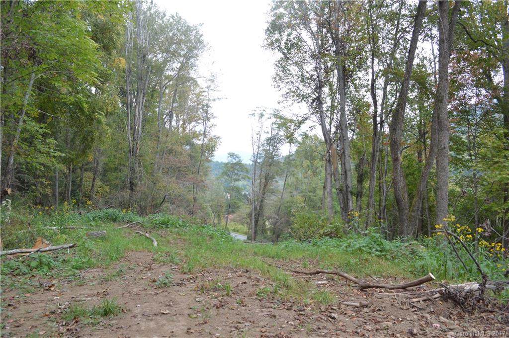 000 Cruso Road - Photo 1