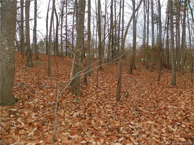 4221 Pinto Lane - Photo 1