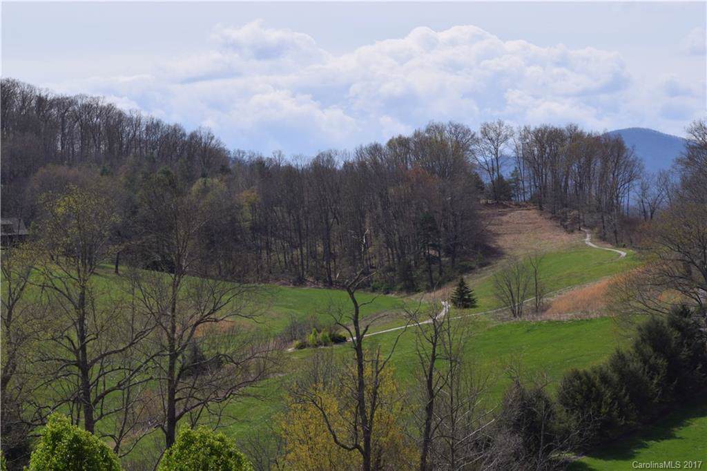 Lot 17 Iron Tree Road - Photo 1