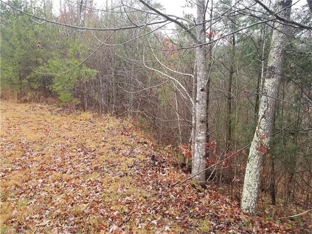 75 Pinecone Trail - Photo 1