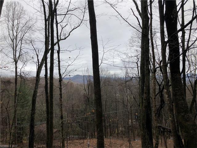 TBD Apple Creek Road - Photo 1