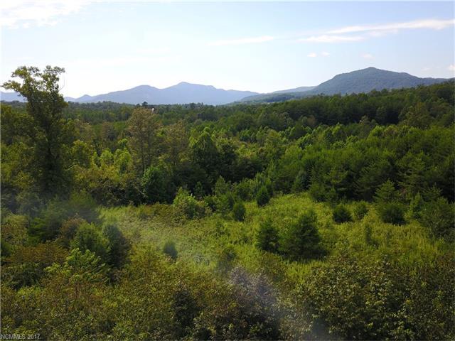1691 Bills Creek Road - Photo 1