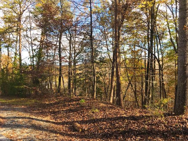LOT 16 Wilkerson Court - Photo 1