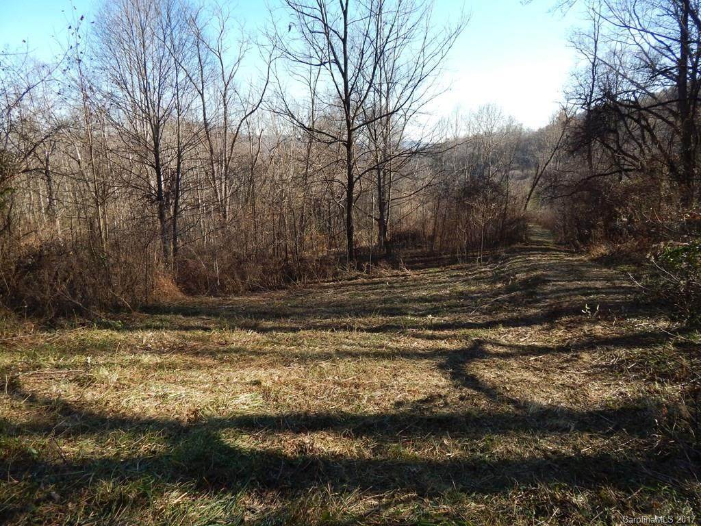 Lot 11 Coyote Hollow Road - Photo 1