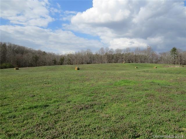 911 Huckleberry Ridge Road - Photo 1