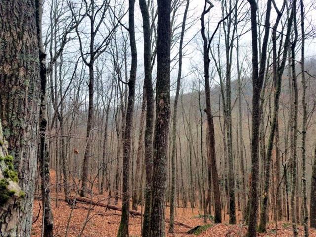 Lot #3 Wildwood Lane - Photo 1