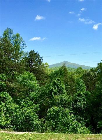 75 Flat Top Mountain Road - Photo 1