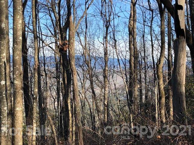 Lot 7 Rock Creek Road - Photo 1