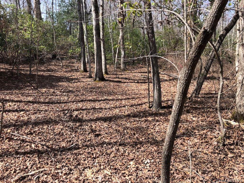 999 Breckenridge Trail - Photo 1