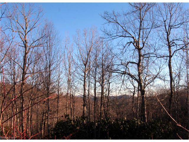 Lot 29 Eastatoe Gap Road - Photo 1